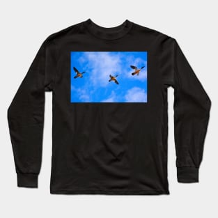 Goose it Baby Long Sleeve T-Shirt